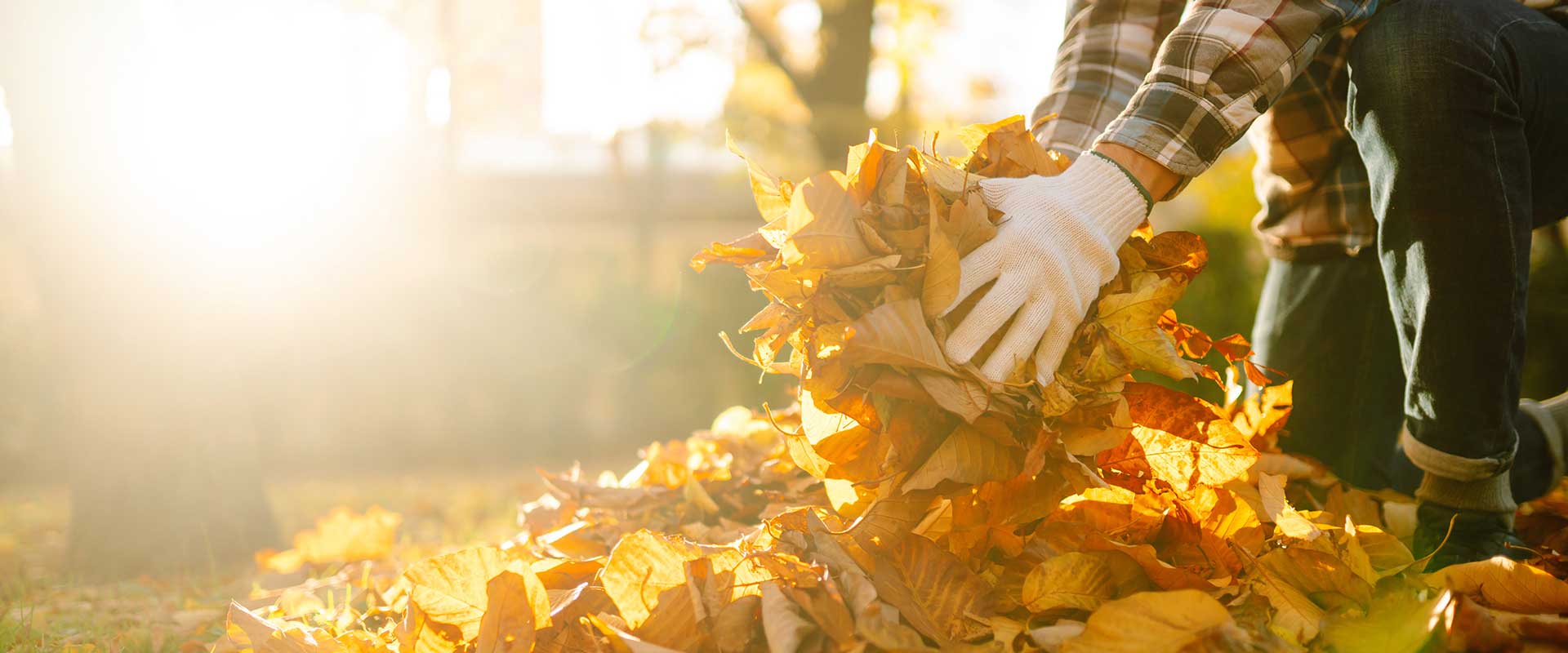 Preparing Your Home for Fall A Comprehensive Guide